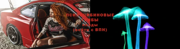 амф Верхний Тагил
