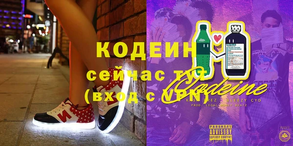 амф Верхний Тагил