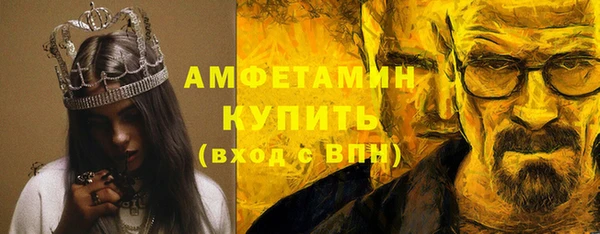 амф Верхний Тагил