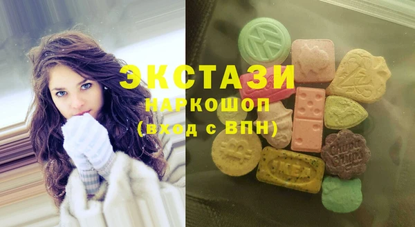амф Верхний Тагил