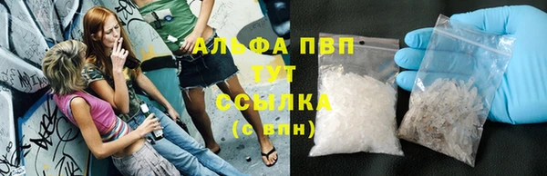 амф Верхний Тагил