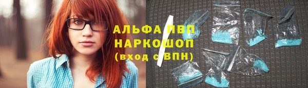 амф Верхний Тагил