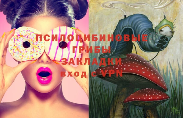 амф Верхний Тагил