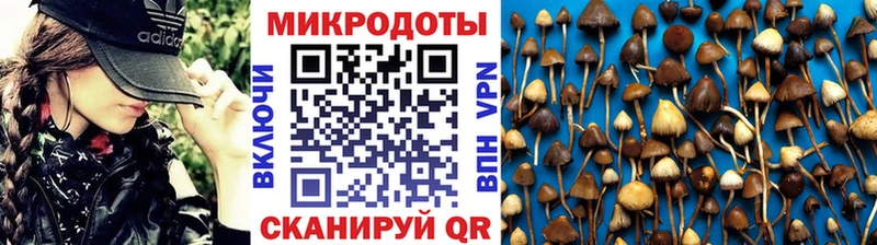 Галлюциногенные грибы Psilocybe  Екатеринбург 